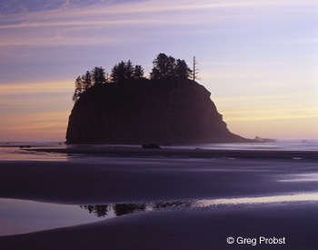 Washington Coast